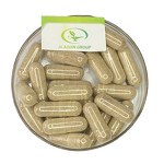 Acerola Cherry Powder - Manufacturer HALAL Pure Cherry Extract Powder