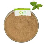 Spearmint Extract - Manufacturer HALAL Food Grade Peppermint Mint Powder