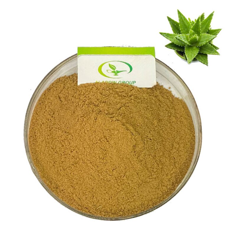 Aloe Vera Extract Powder - Manufacturer HALAL Pure Aloe Extract Natural Powder