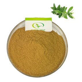 Olive Leaf Extract - Manufacturer HALAL High Quality Pure Olive Extract