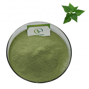 Stinging Nettle Powder - Manufacturer GMP Natural Pure Leaf Powder