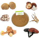 AHCC Powder - Manufacturer HALAL Wholesale Fermented Shiitake 1000mg