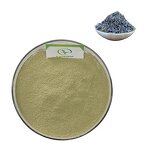 Lavender Extract - Manufacturer GMP High Quality Pure Lavender Powder