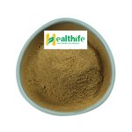 Black Cumin Extract Manufacturer - Healthife Wholesale 10:1 Nigella Sativa Seeds