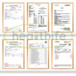 Colostrum Powder Manufacturer - Healthife Supplements Bovine IGG 20%