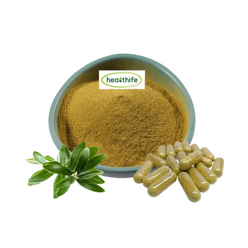 Olive Leaf Extract Powder Manufacturer - Healthfie Wholesale Price 10% 20% 40% Oleuropein