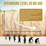 Spermidine Capsules Manufacturer - Wholesale High Quality Wheat Germ Extract Vegan 1%