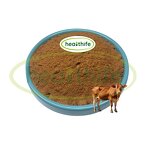 Beef Kidney Powder Manufacturer - Healthife New Zealand Grass Fed
