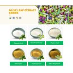 Olive Leaf Extract Powder Manufacturer - Healthfie Wholesale Price 10% 20% 40% Oleuropein