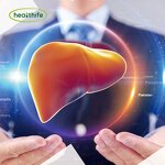 Beef Thymus Powder Manufacturer - Healthife New Zealand Bovine Grass Fed