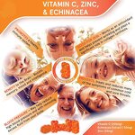 Vitamin C Gummies Manufacturer - OEM/ODM Non-GMO with Zinc Immune Booster