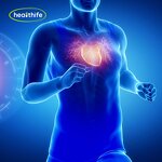 PQQ Powder Manufacturer - Healthife Supplement Pyrroloquinoline Quinone 98%