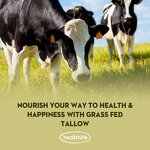 Beef Tallow Capsules Manufacturer - Healthife Bovine New Zealand Grass Fed