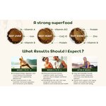 Bovine Pancreas Powder Manufacturer - Healthife New Zealand Beef Grass Fed