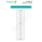 Olive Leaf Extract Powder Manufacturer - Healthfie Wholesale Price 10% 20% 40% Oleuropein