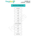 Oleanolic Acid Powder Manufacturer - Healthife Natural Olive Leaf Extract 60% 70% 98%