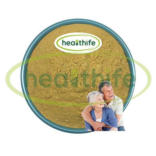 Lions Mane Mushroom Powder Manufacturer - Healthife High Quality Hericium Erinaceus Extract