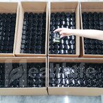 Turkesterone Capsules Manufacturer - Plant Extract Ajuga Turkestanica Powder 10% 500mg/60caps