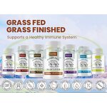 Vitamin B Complex Capsules Manufacturer - Healthife Energy Support with Vitamin C & Folic Acid