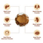 Beef Spleen Powder Manufacturer - Healthife New Zealand Freeze Dried Grass Fed Peptide