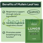 Mullein Tea Bags Manufacturer - Healthife Non-GMO for Lungs