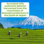 Matcha Powder Manufacturer - Japan Ceremonial Grade with Collagen Green Tea