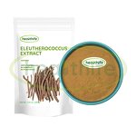 Siberian Ginseng Extract Powder Manufacturer - Natural Chinese Herb 0.8% Eleutherosides