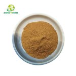 Naringin Powder - Manufacturer 98% Grapefruit Peel Naringenin Extract