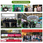 Dihydromyricetin Extract - Manufacturer 25% 80% DHM Vine Tea Powder