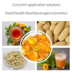 Turmeric Curcumin - Manufacturer 95% Turmeric Root Extract Supplement