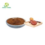 Reishi Spore Powder - Manufacturer Organic Ganoderma Lucidum Spores Powder