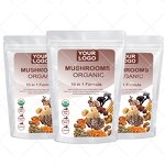 Mushroom Extract Powder - Manufacturer Organic Mushroom Supplements Powder