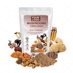 Mushroom Extract Powder - Manufacturer Private Label Organic OEM Blend Powder