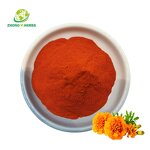 Purple Sweet Potato - Manufacturer Food Additive Dried Dehydrated Powder