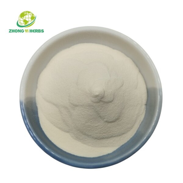 Chickpea Protein Powder - Manufacturer Food Grade Pure Protein Powder