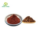 Saw Palmetto Extract - Manufacturer 25% 45% Fatty Acids Natural Powder
