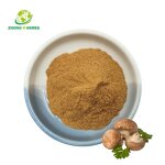 Shiitake Mushroom Extract - Manufacturer 30% Polysaccharides Natural Plant