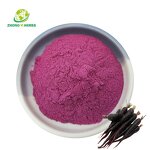 Black Carrot Powder - Manufacturer Pure High Quality Juice Concentrate