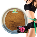 Garcinia Cambogia Extract - Manufacturer 60% 50% HCA Weight Loss Powder