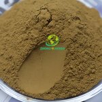 Mulberry Leaf Powder - Manufacturer Wholesale 1% DNJ Mulberry Leaf Extract