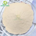 Pea Protein Powder - Manufacturer Wholesale Organic Pea Protein Isolate