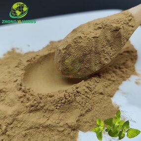 Lemon Balm Extract - Manufacturer 5% Rosmarinic Acid Factory Supply