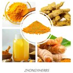 Turmeric Curcumin - Manufacturer 95% Turmeric Root Extract Supplement