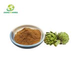 Pine Bark Extract - Manufacturer 95% OPC Anthocyanin Pure Natural Powder