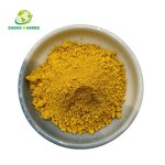 Tanshinone Extract - Manufacturer 10% 20% 60% Tanshinone 2A Salvia