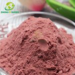 Rose Petal Powder - Manufacturer Wholesale Water Soluble Food Grade Extract