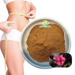 Garcinia Cambogia Extract - Manufacturer 60% 50% HCA Weight Loss Powder