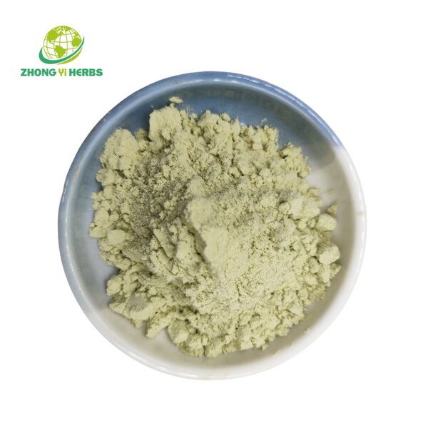 Celery Extract Powder - Manufacturer Wholesale Best Price Organic Juice Powder