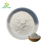 Cascara Sagrada Extract - Manufacturer Natural Bark Extract Powder