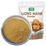 Lions Mane Powder - Manufacturer Organic Hericium Erinaceus Polysaccharide